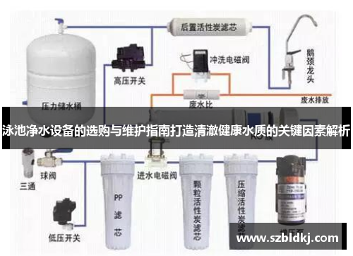 泳池净水设备的选购与维护指南打造清澈健康水质的关键因素解析